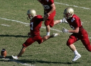 熊猫世界杯2026-伊布爆发！阿尔及利亚提前终结悬念，美国梦碎世界杯预选赛