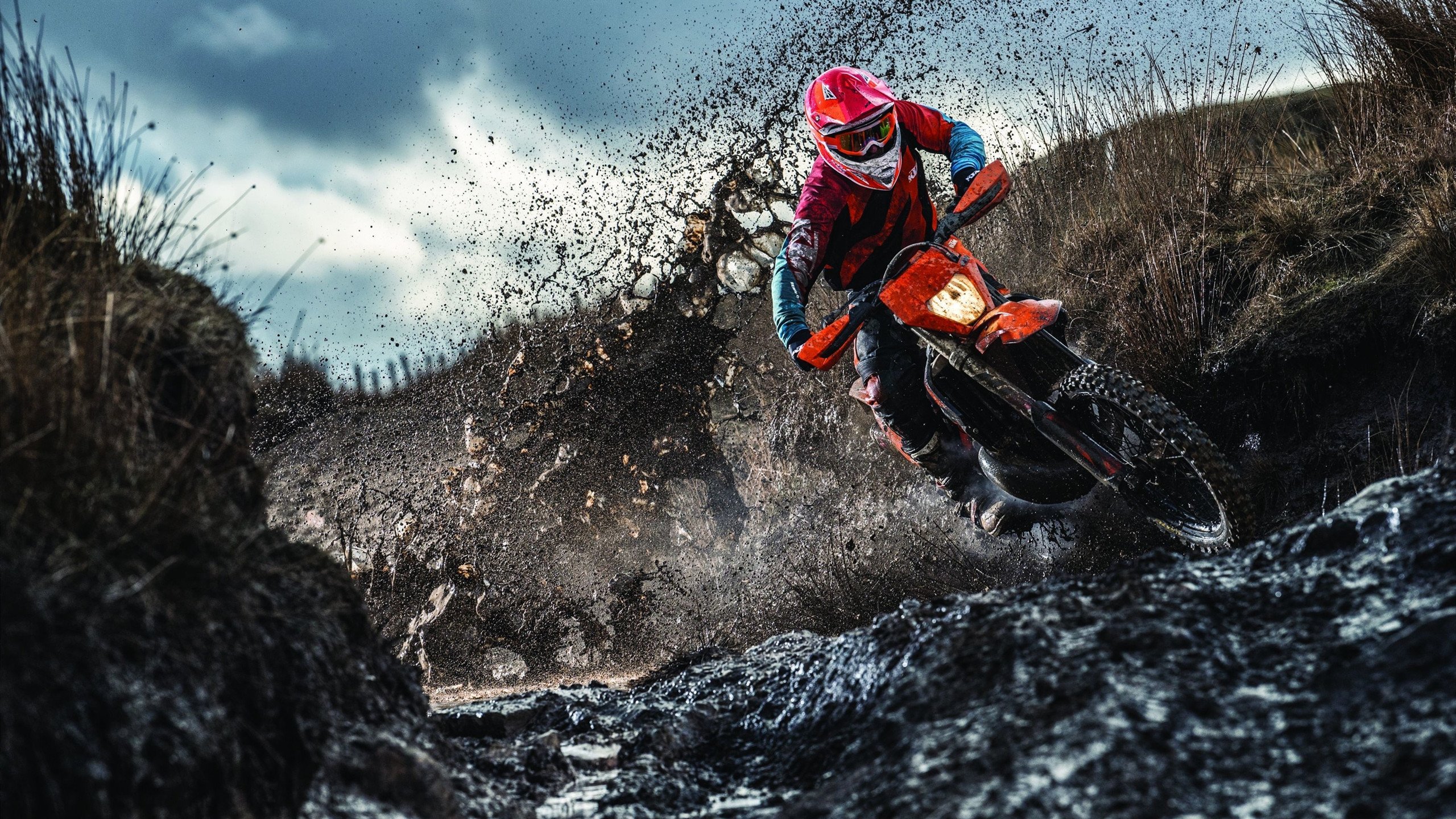 赛场新王诞生，周冠宇领衔红牛二队力压梅赛德斯，点燃上海激情之夜