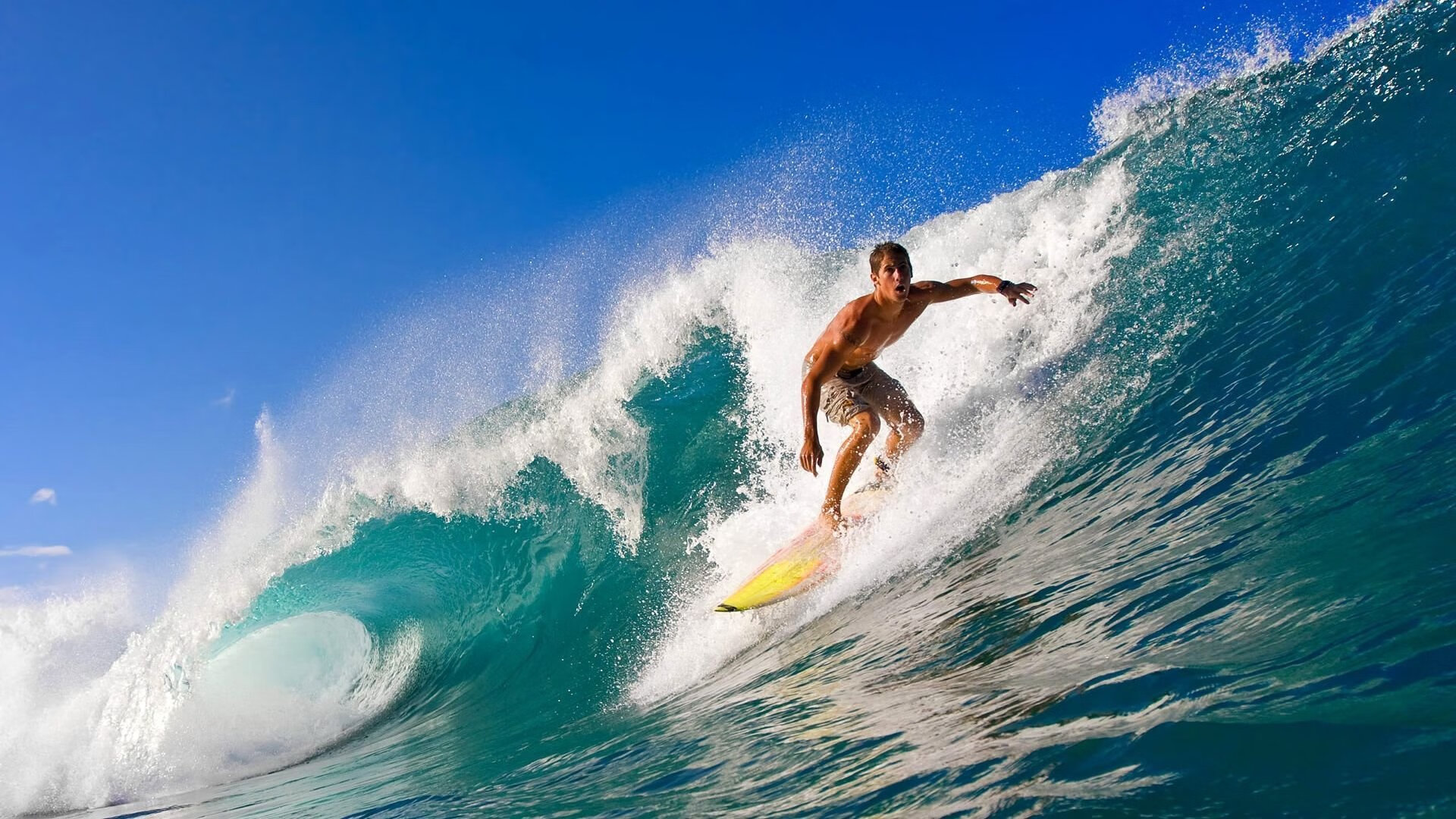 王皓运筹帷幄，波兰队战术完胜韩国队，展现团队足球新高度